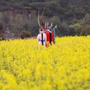 汉中旅游 缩略图 10