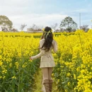 汉中旅游 缩略图 1
