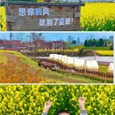 汉中旅游 缩略图 1
