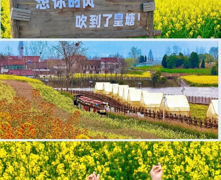 汉中旅游 1