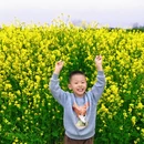 汉中旅游 缩略图 5