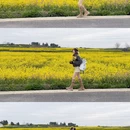 汉中旅游 缩略图 5