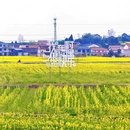 汉中旅游 缩略图 4