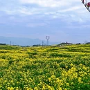汉中旅游 缩略图 12