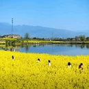 汉中旅游 缩略图 3