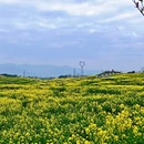 汉中旅游 缩略图 14