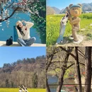 汉中旅游 缩略图 1