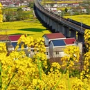 汉中旅游 缩略图 1