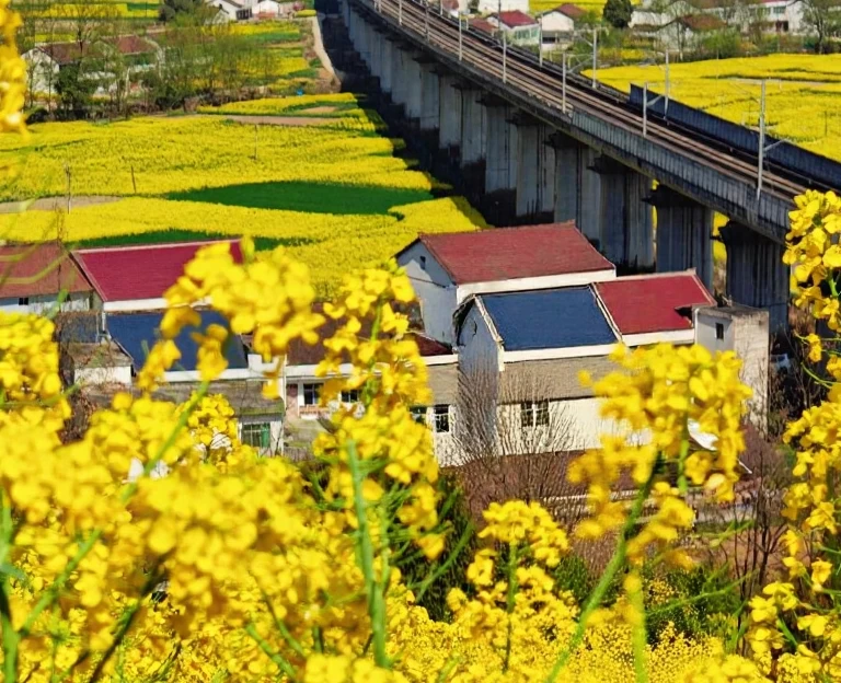 汉中旅游 1