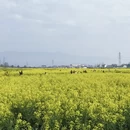 汉中旅游 缩略图 11