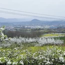 汉中旅游 缩略图 10
