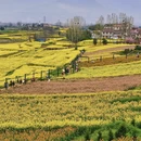 汉中旅游 缩略图 4