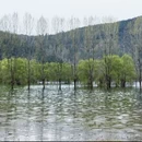 汉中旅游 缩略图 14