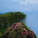 汉中旅游 缩略图 8