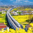汉中旅游 缩略图 4