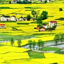 汉中旅游 缩略图 3