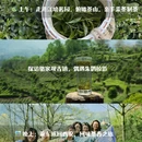 汉中旅游 缩略图 6