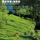 汉中旅游 缩略图 5