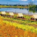 汉中旅游 缩略图 1