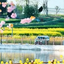 汉中旅游 缩略图 4