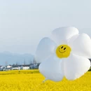 汉中旅游 缩略图 7