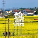 汉中旅游 缩略图 5