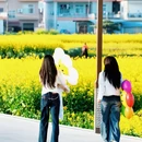 汉中旅游 缩略图 17
