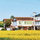 汉中旅游 缩略图 12