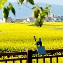 汉中旅游 缩略图 11