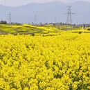 汉中旅游 缩略图 7