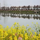 汉中旅游 缩略图 8