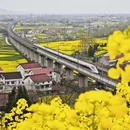 汉中旅游 缩略图 5
