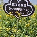 汉中旅游 缩略图 3