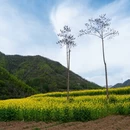 汉中旅游 缩略图 5
