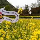 汉中旅游 缩略图 4