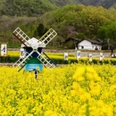 汉中旅游 缩略图 8