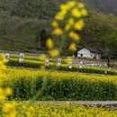汉中旅游 缩略图 7