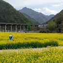 汉中旅游 缩略图 9