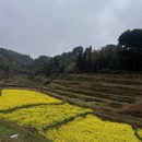 成都旅游 缩略图 4