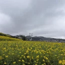 成都旅游 缩略图 6