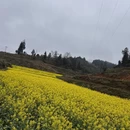 成都旅游 缩略图 5
