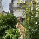 成都旅游 缩略图 7