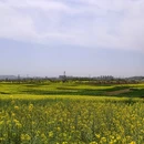 汉中旅游 缩略图 6