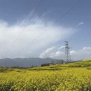 汉中旅游 缩略图 1