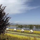 汉中旅游 缩略图 2