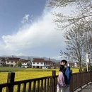汉中旅游 缩略图 8