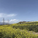 汉中旅游 缩略图 11