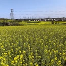 汉中旅游 缩略图 7