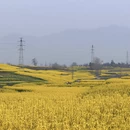 汉中旅游 缩略图 5
