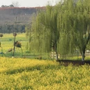 汉中旅游 缩略图 7
